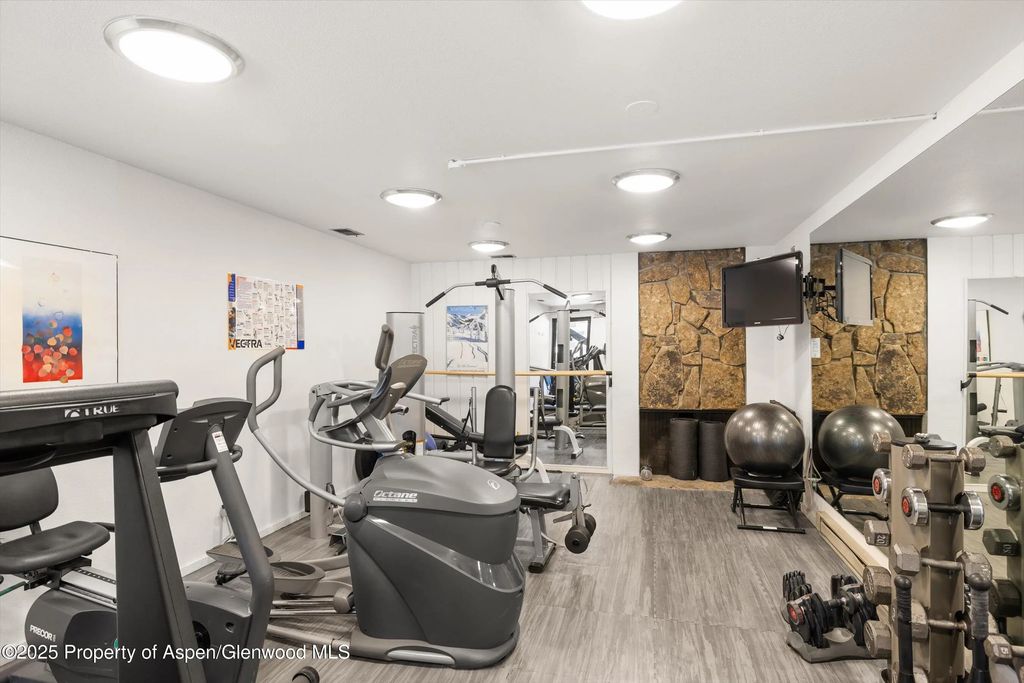 25 of 33 - 1039 E Cooper Avenue 21a, Aspen, CO