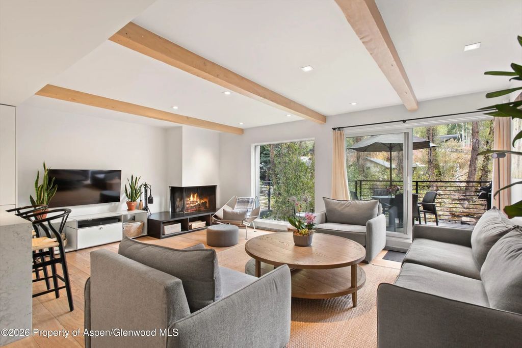 1039 E Cooper Avenue 19a, Aspen