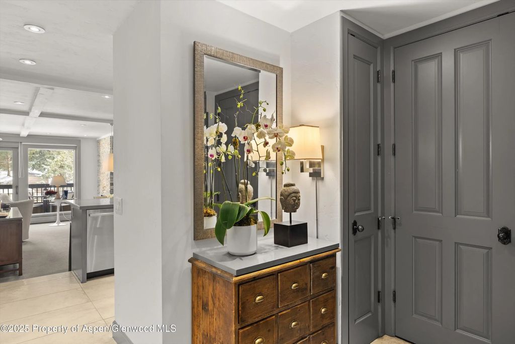 17 of 25 - 610 S West End Street K201, Aspen, CO