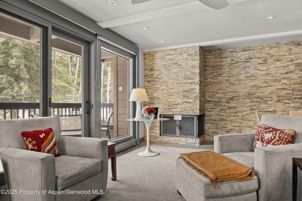 5 of 25 - 610 S West End Street K201, Aspen, CO
