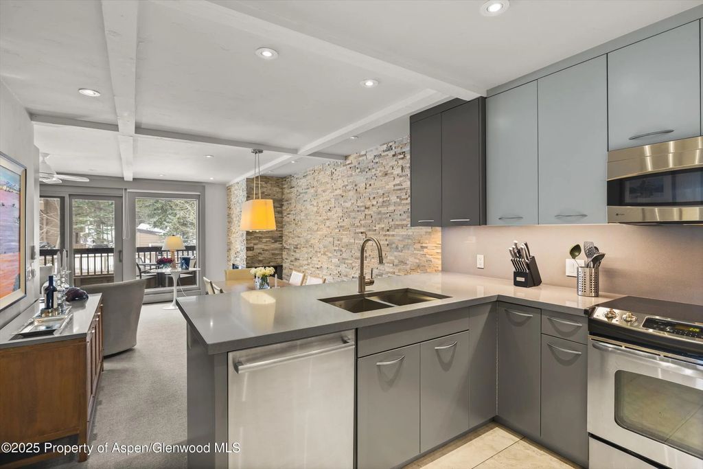 9 of 25 - 610 S West End Street K201, Aspen, CO