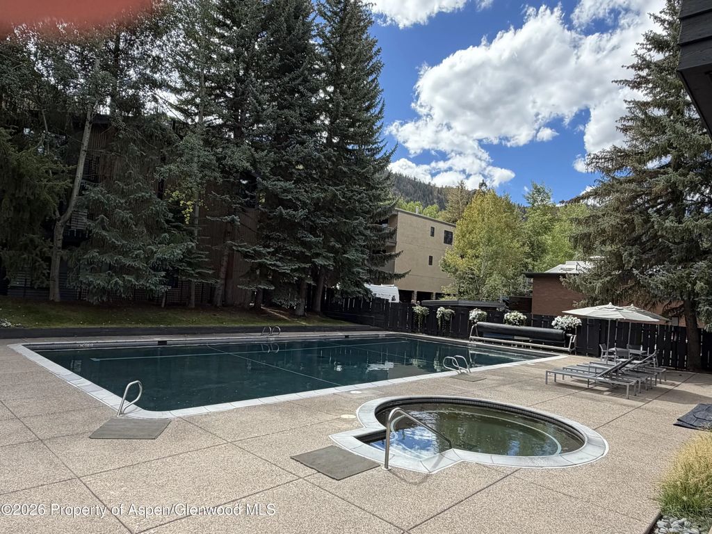 29 of 30 - 1039 E Cooper Avenue 13, Aspen, CO