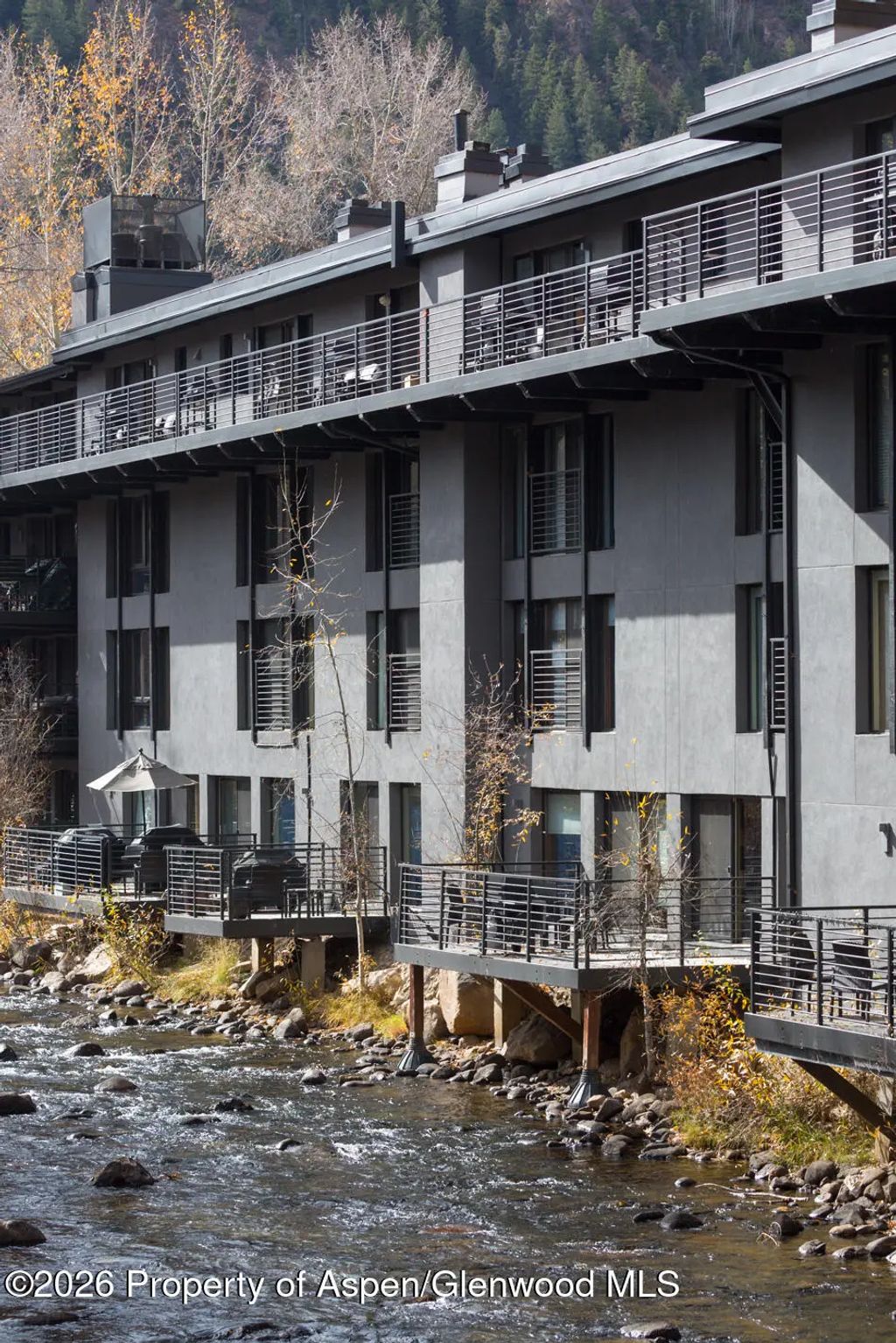 5 of 30 - 1039 E Cooper Avenue 13, Aspen, CO