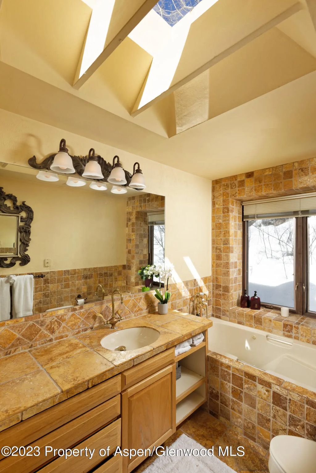 17 of 46 - 184 Mountain Laurel Drive, Aspen, CO