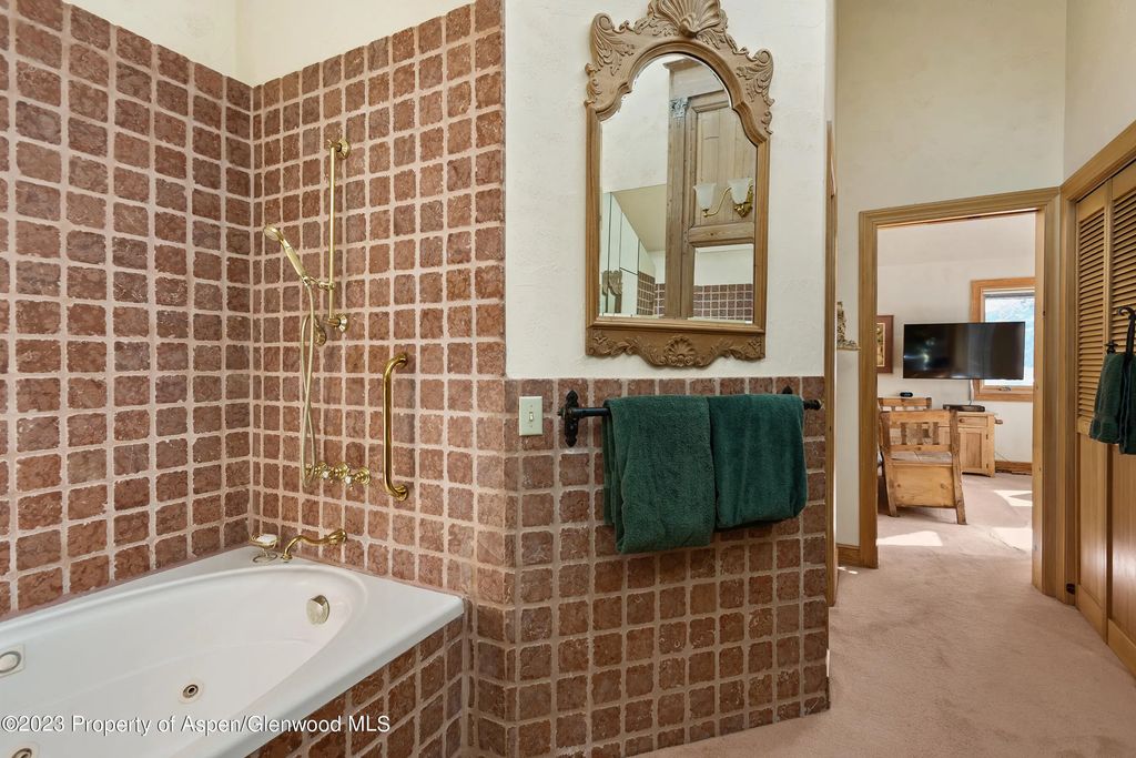 31 of 46 - 184 Mountain Laurel Drive, Aspen, CO