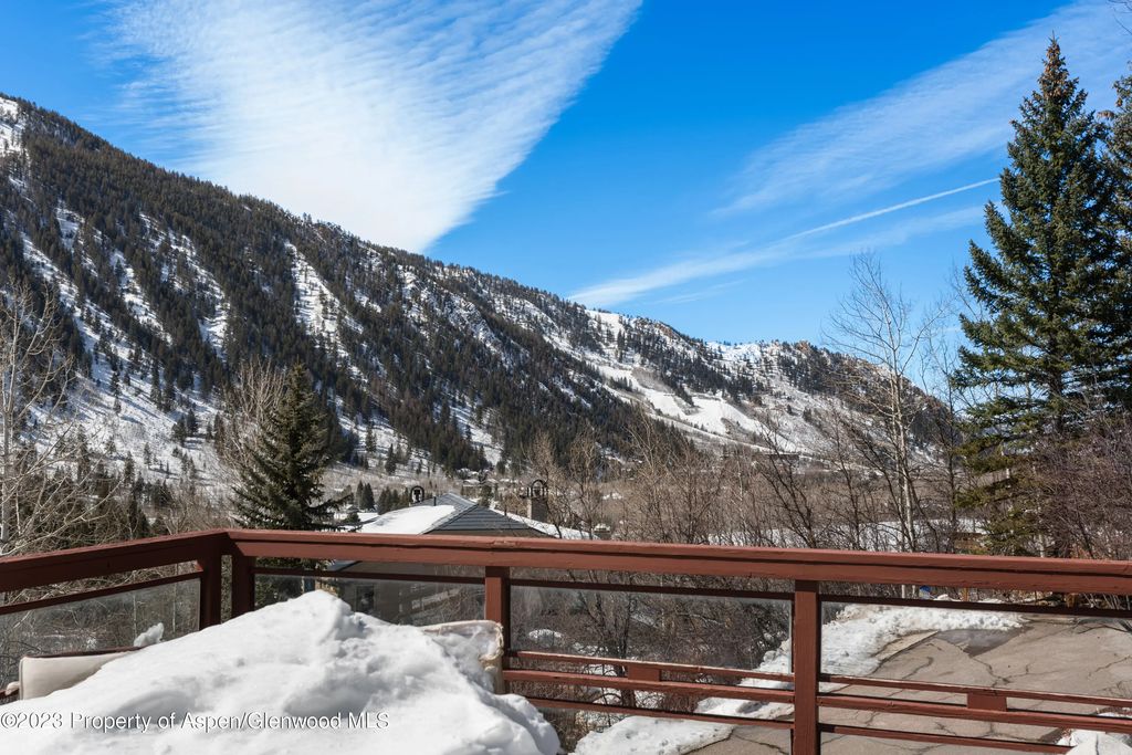 40 of 46 - 184 Mountain Laurel Drive, Aspen, CO
