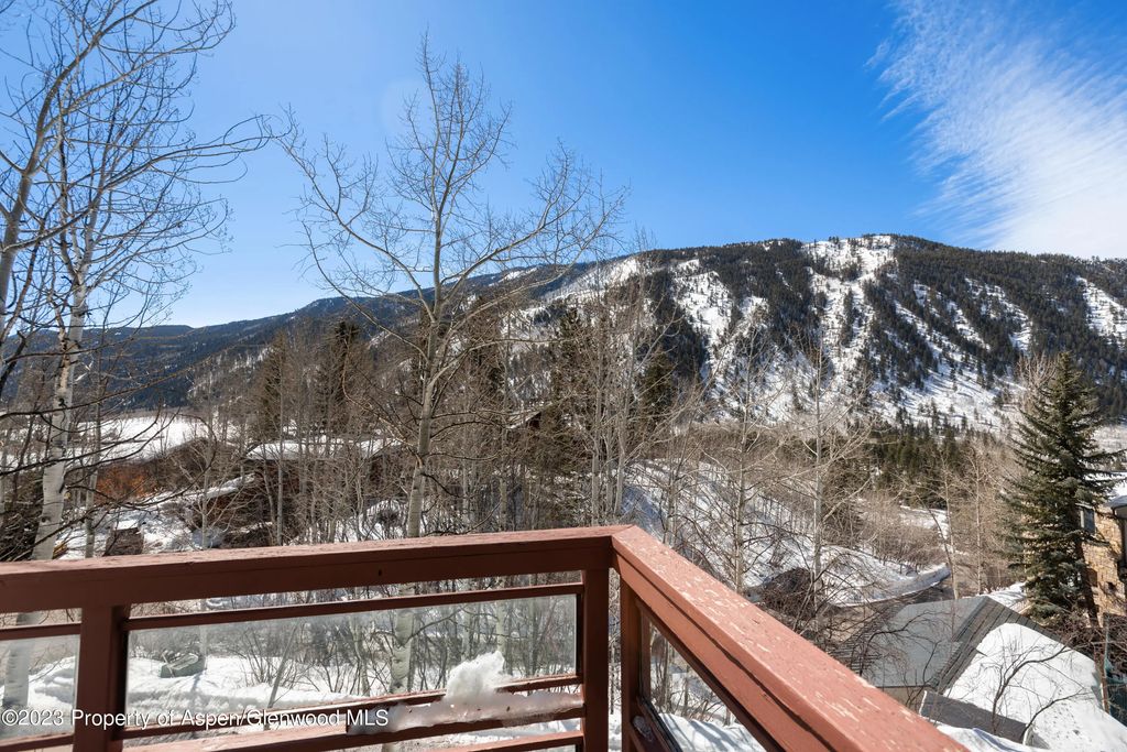45 of 46 - 184 Mountain Laurel Drive, Aspen, CO