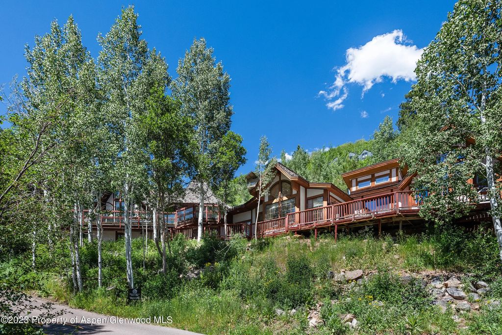 5 of 46 - 184 Mountain Laurel Drive, Aspen, CO