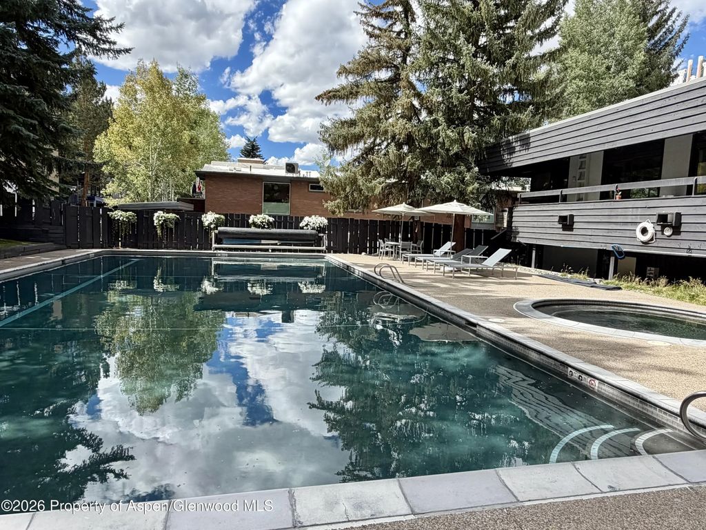 1039 E Cooper Avenue 11, Aspen