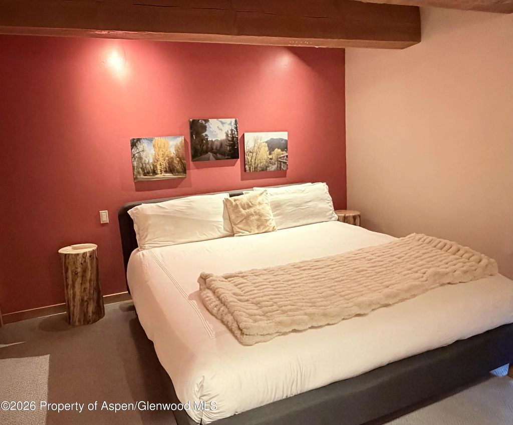 10 of 23 - 1039 E Cooper Avenue 11, Aspen, CO