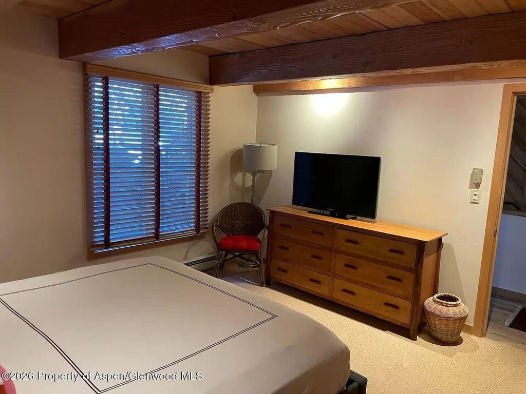 14 of 23 - 1039 E Cooper Avenue 11, Aspen, CO