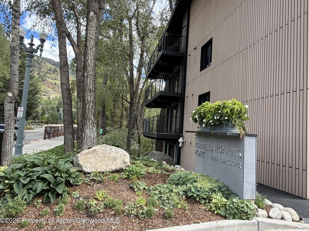 4 of 23 - 1039 E Cooper Avenue 11, Aspen, CO