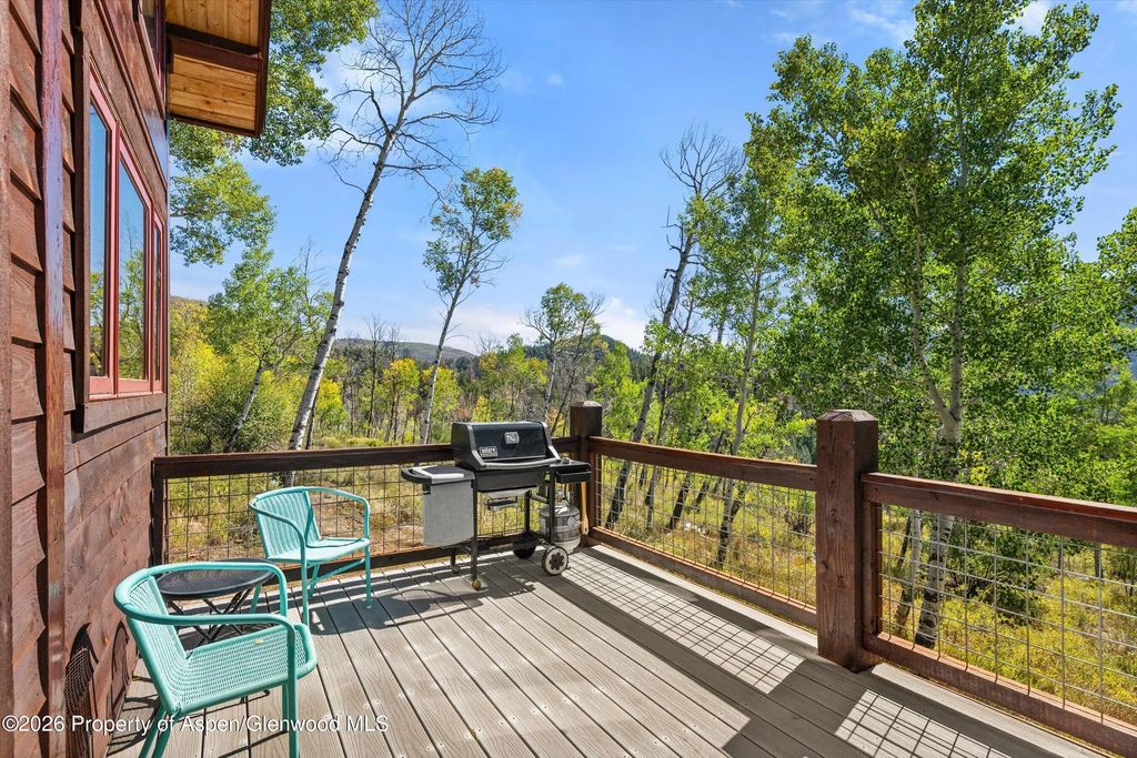44 of 49 - 372 Hawk Lane, Basalt, CO