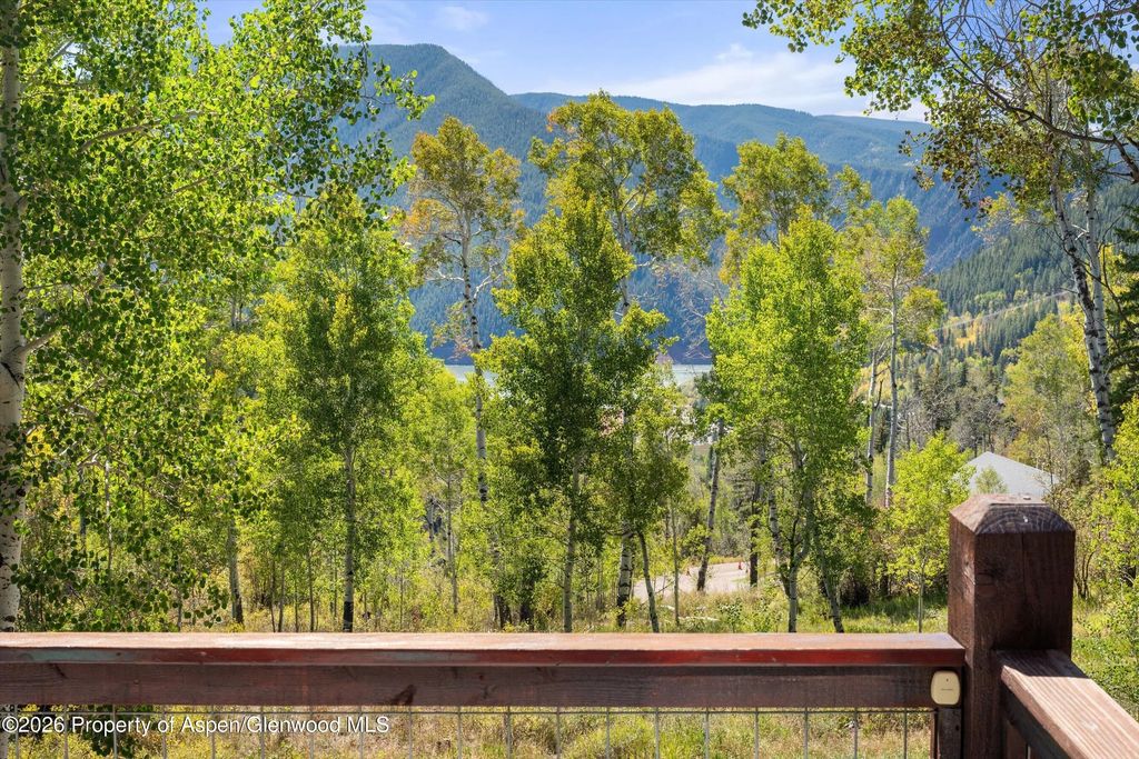 46 of 49 - 372 Hawk Lane, Basalt, CO