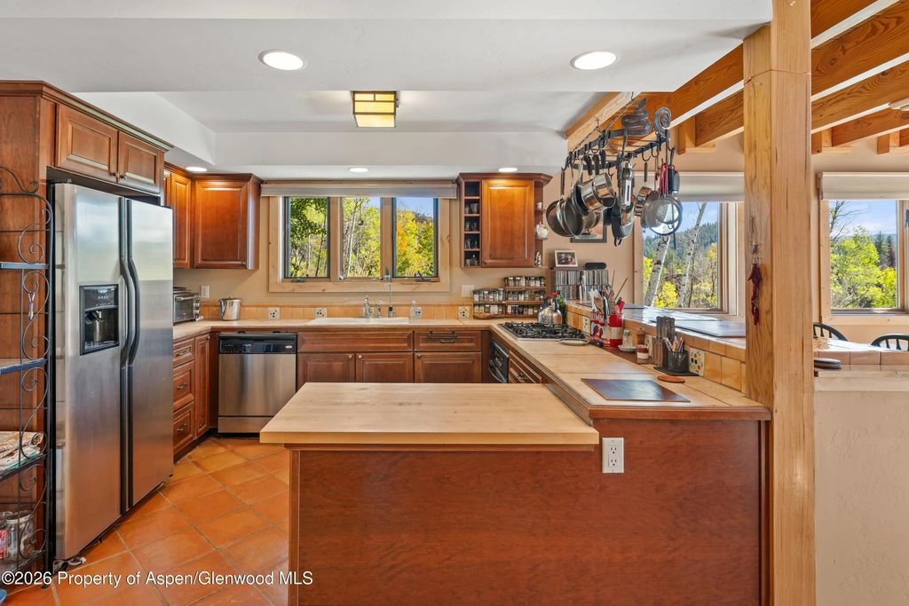 8 of 49 - 372 Hawk Lane, Basalt, CO