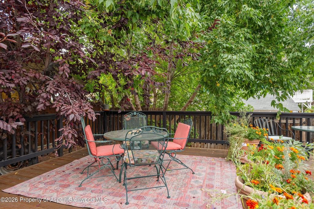18 of 35 - 1017 Cooper Avenue, Glenwood Springs, CO