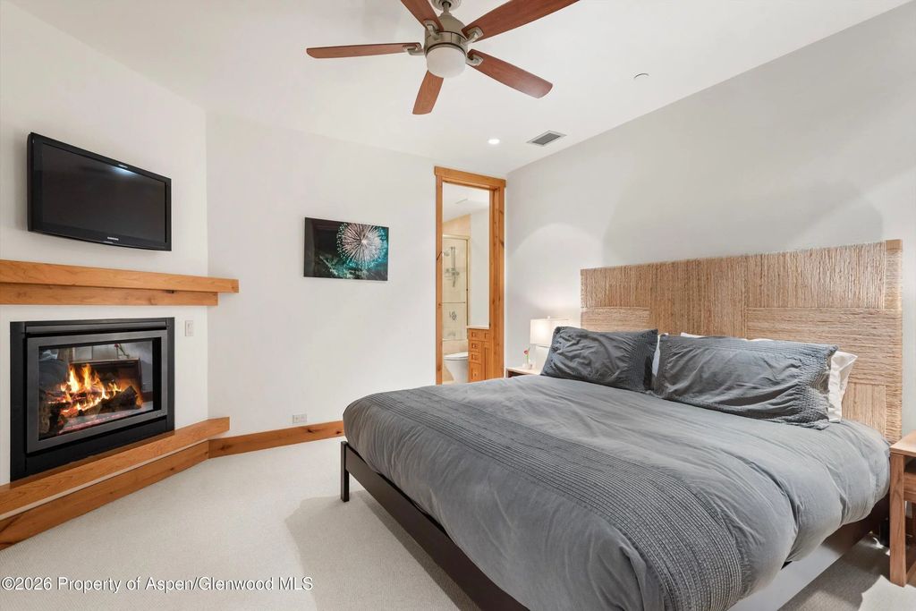 29 of 42 - 115 Park Avenue, Aspen, CO