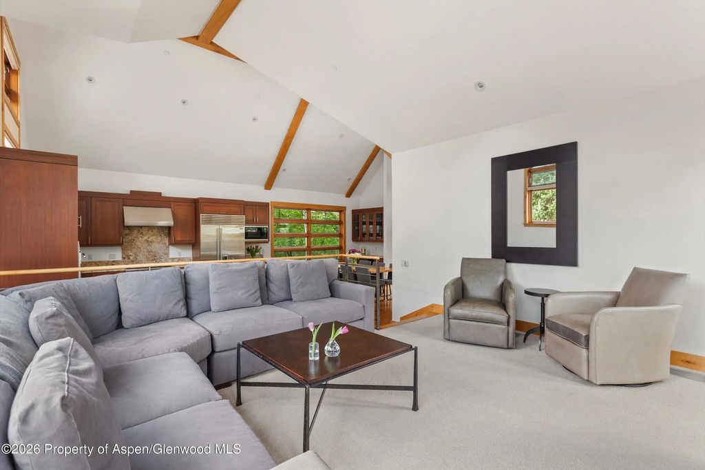 6 of 42 - 115 Park Avenue, Aspen, CO
