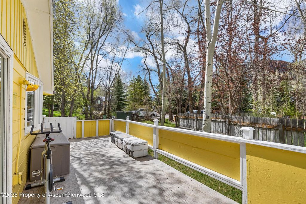 19 of 22 - 132 Maple Lane, Aspen, CO
