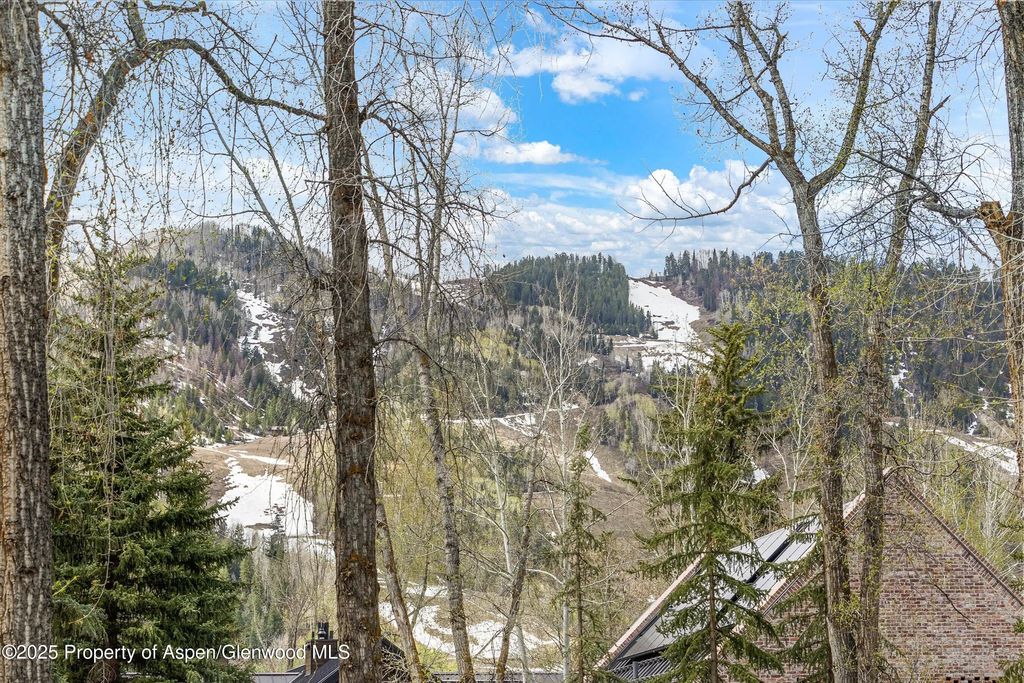 20 of 22 - 132 Maple Lane, Aspen, CO