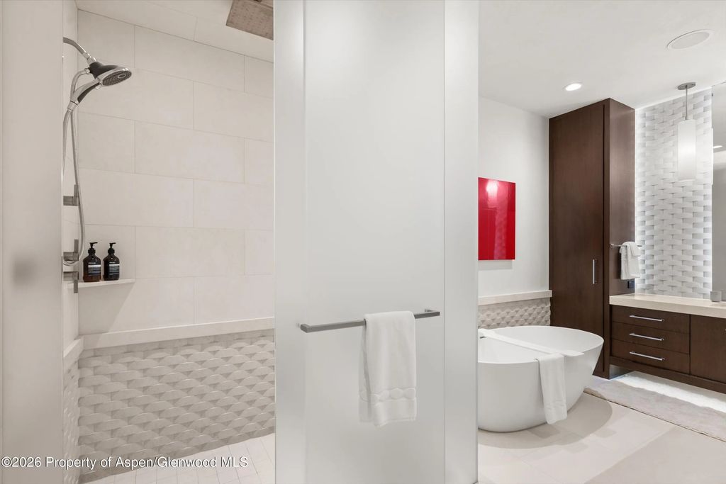 23 of 41 - 917 S Mill Street, Aspen, CO