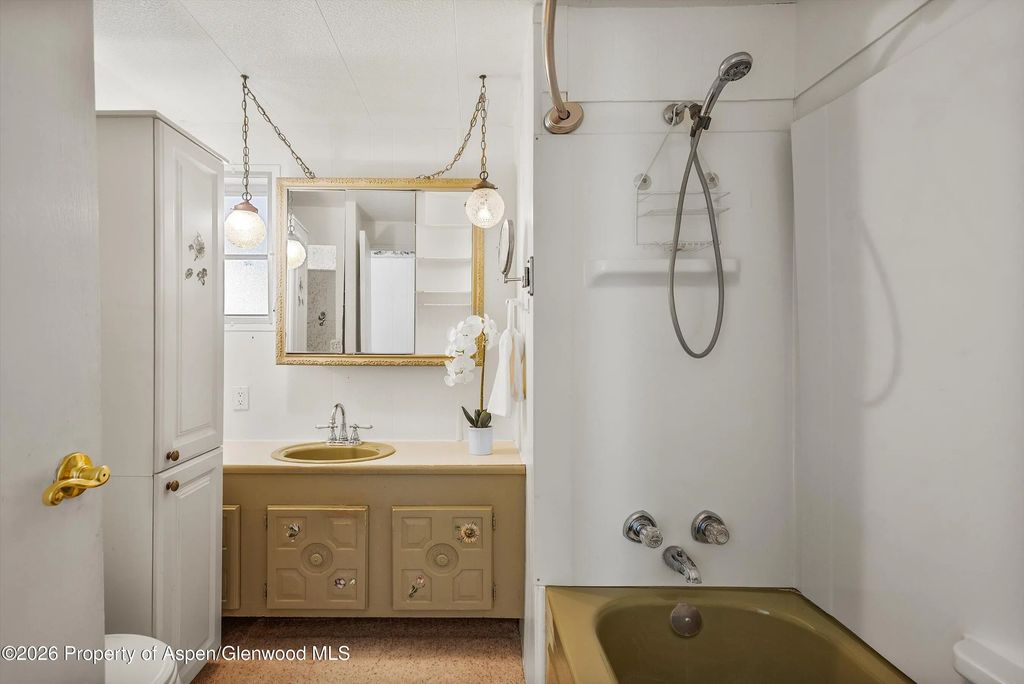 13 of 25 - 727 Euclid Avenue, Carbondale, CO