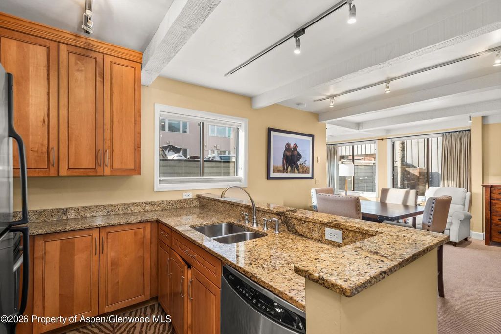 709 E Main Street 201, Aspen