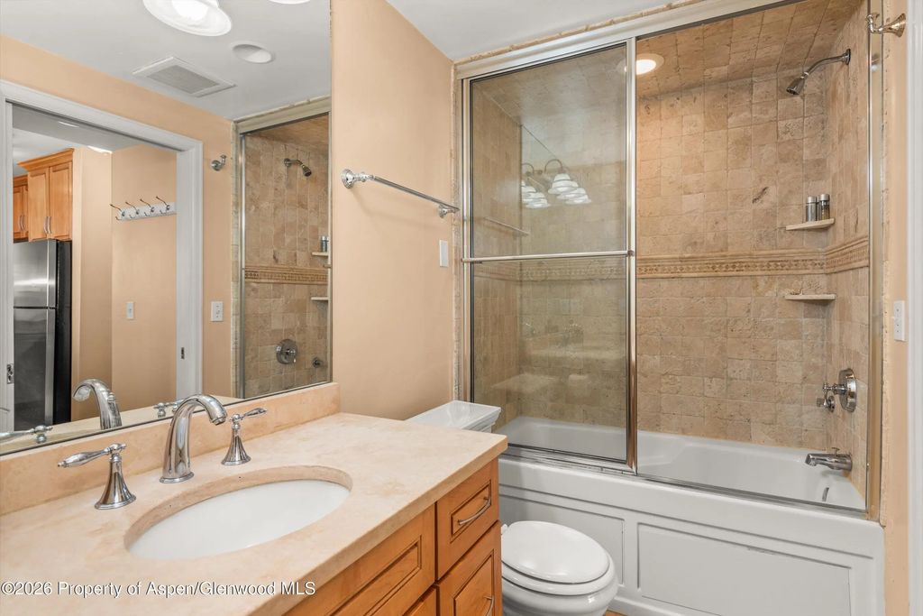 10 of 14 - 709 E Main Street 201, Aspen, CO