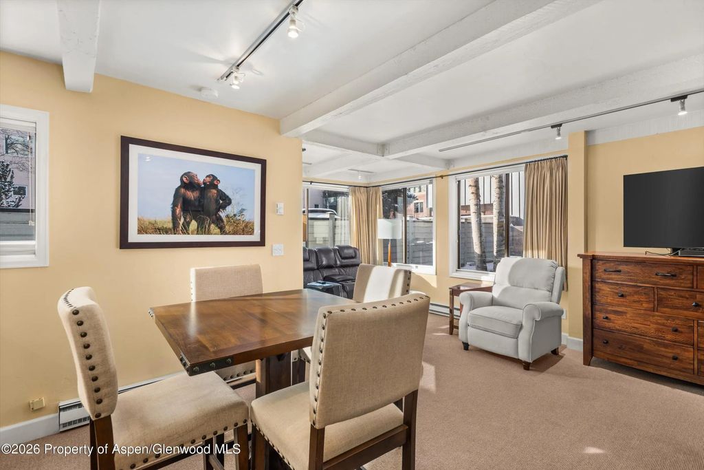 5 of 14 - 709 E Main Street 201, Aspen, CO