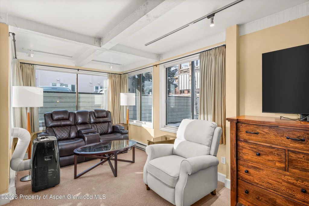 6 of 14 - 709 E Main Street 201, Aspen, CO