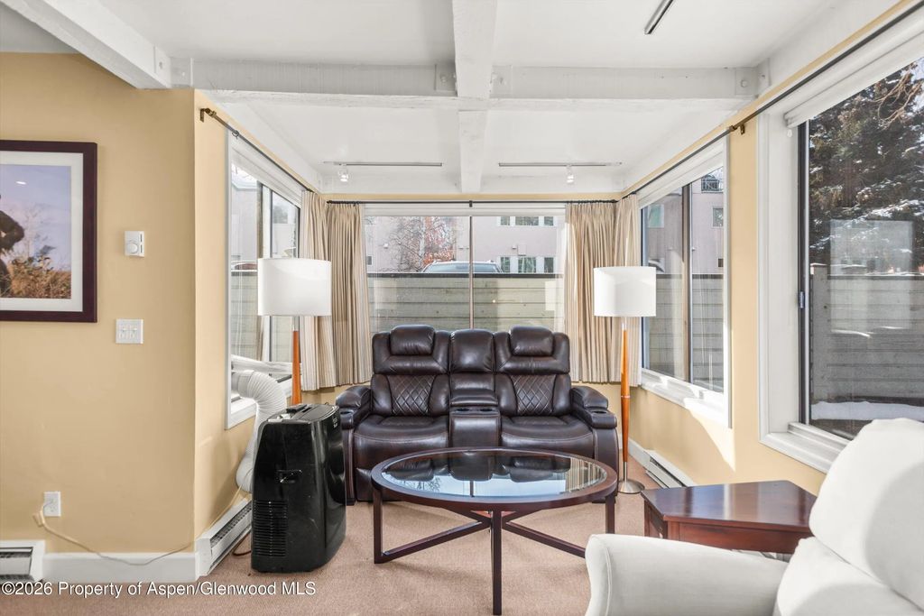 7 of 14 - 709 E Main Street 201, Aspen, CO