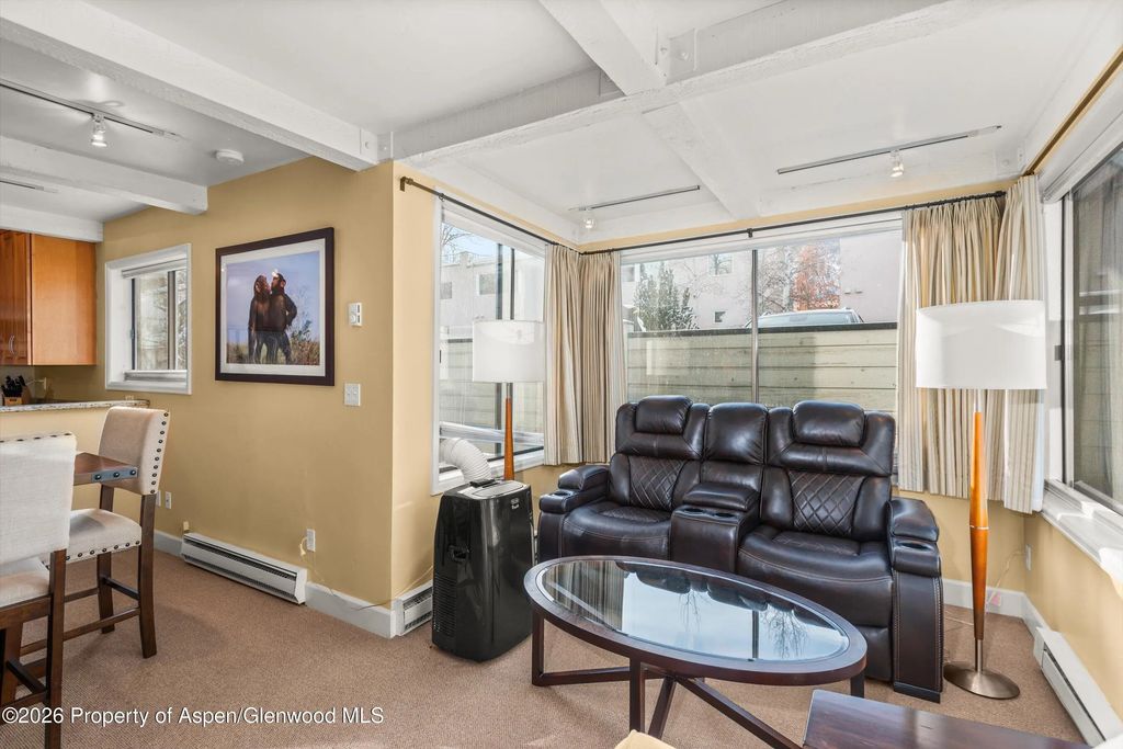 8 of 14 - 709 E Main Street 201, Aspen, CO