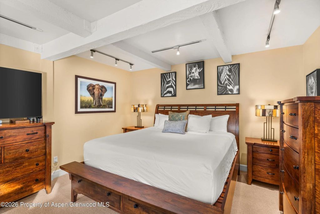 9 of 14 - 709 E Main Street 201, Aspen, CO