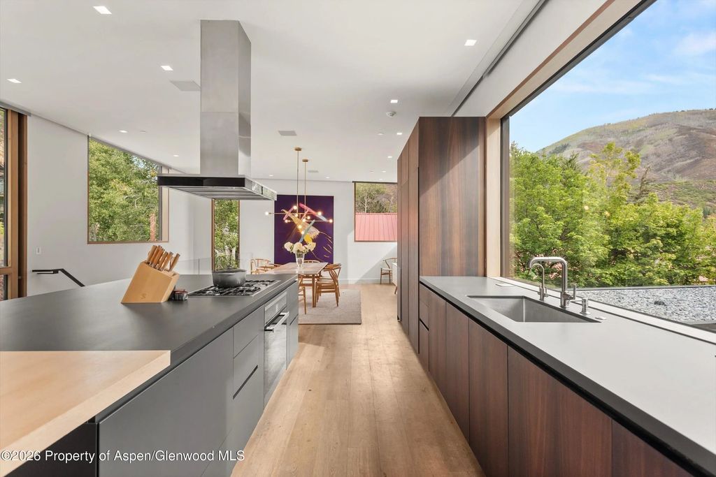 14 of 47 - 1037 Cemetery Lane, Aspen, CO