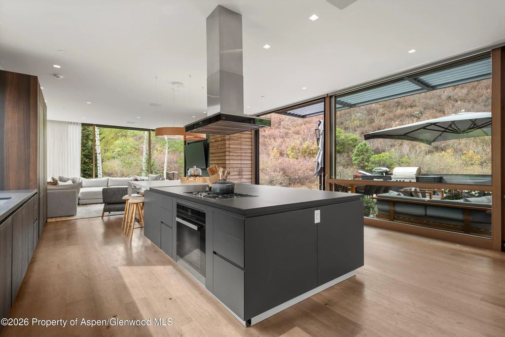 15 of 47 - 1037 Cemetery Lane, Aspen, CO