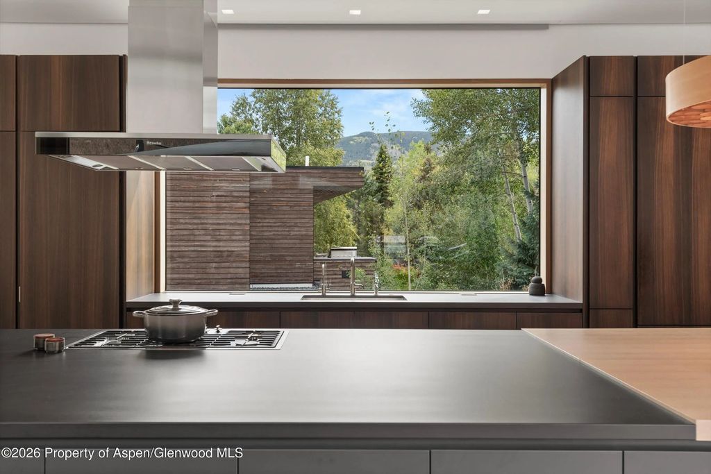 17 of 47 - 1037 Cemetery Lane, Aspen, CO