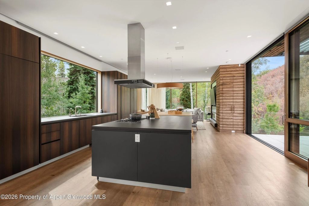 5 of 47 - 1037 Cemetery Lane, Aspen, CO