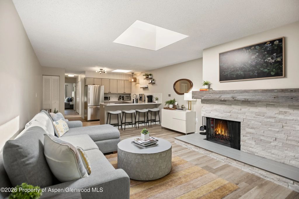 100 E Dean Street 3d, Aspen