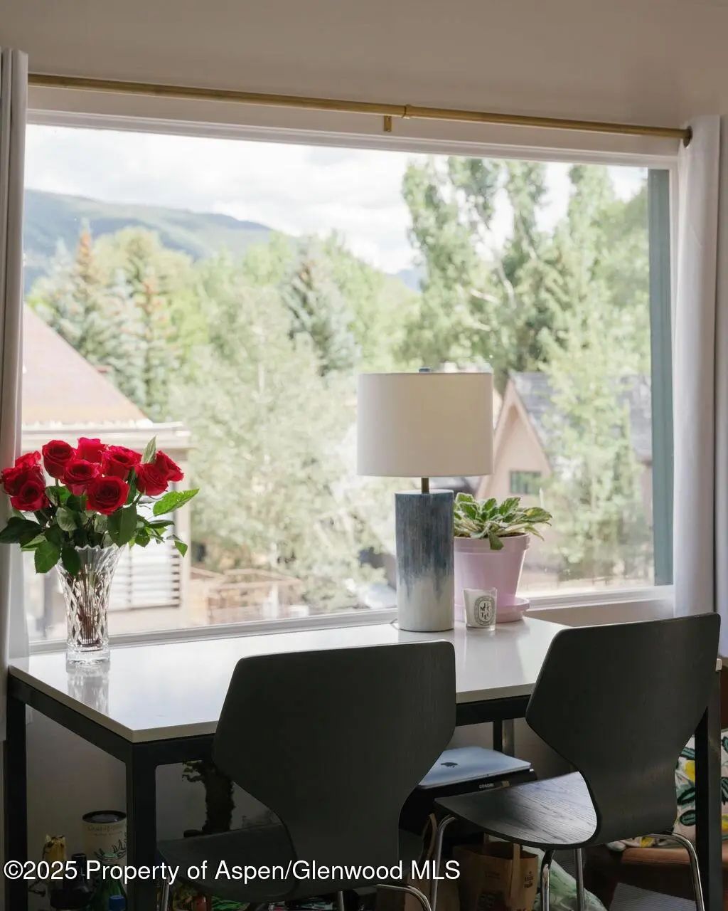 14 of 34 - 333 W Main Street B2, Aspen, CO