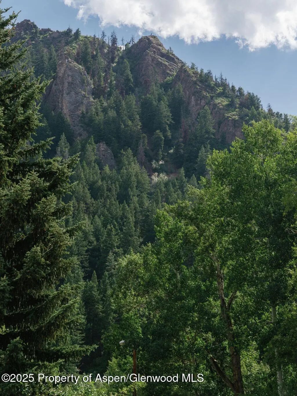 17 of 34 - 333 W Main Street B2, Aspen, CO
