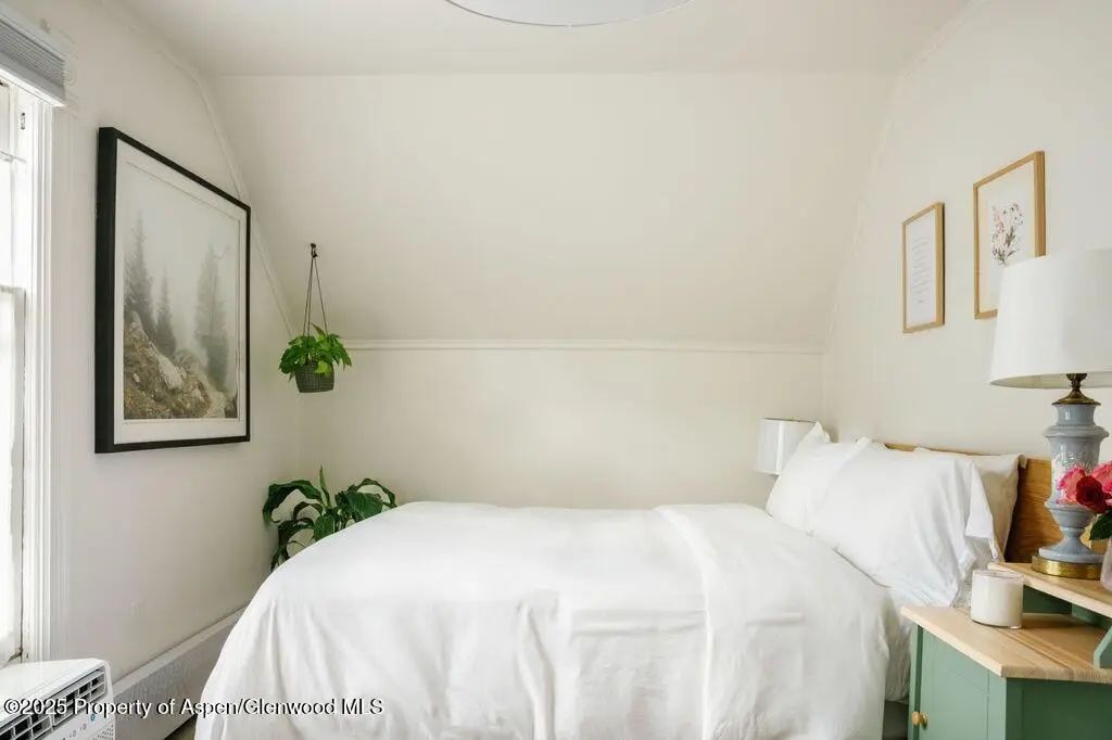 18 of 34 - 333 W Main Street B2, Aspen, CO