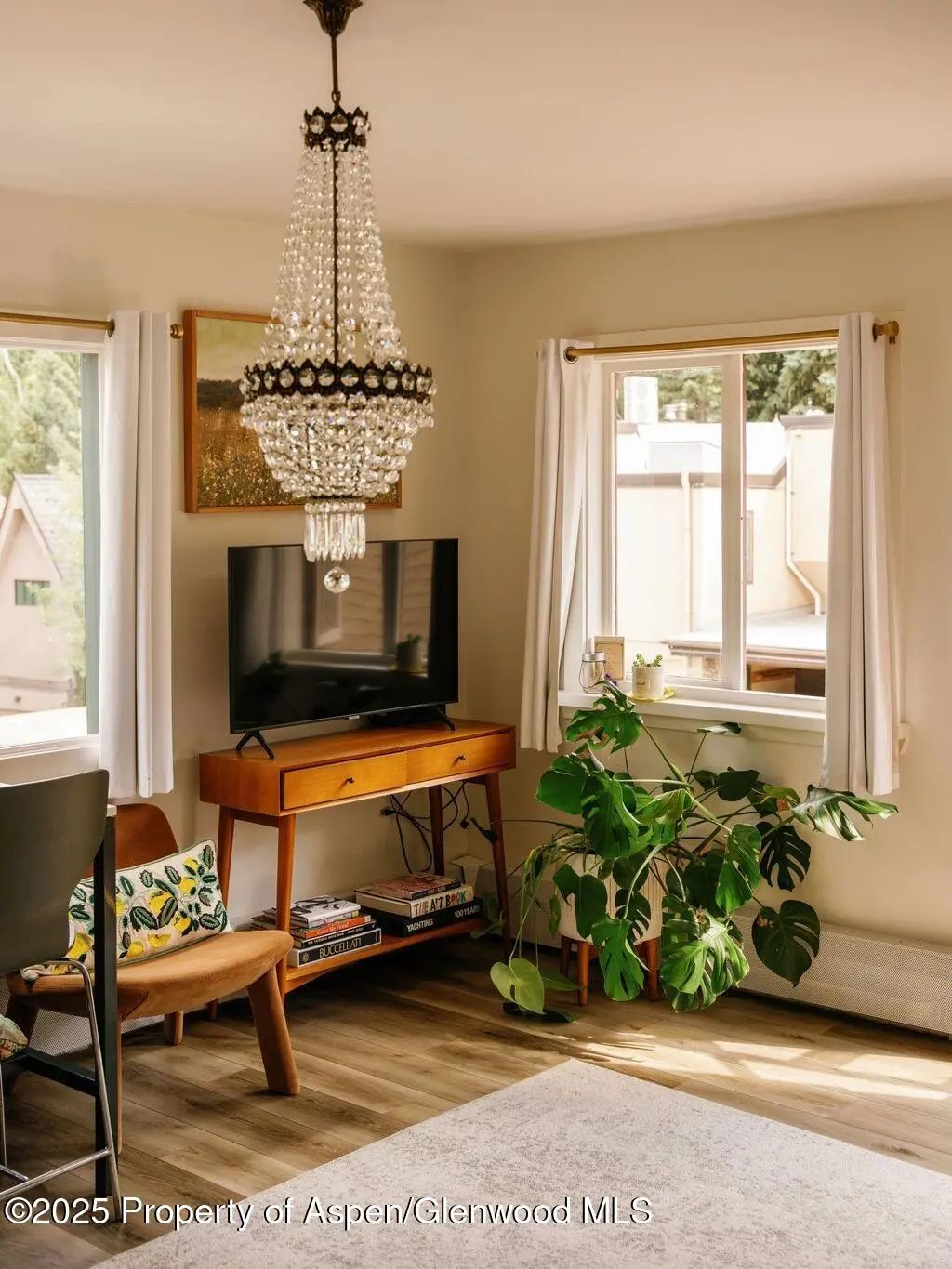5 of 34 - 333 W Main Street B2, Aspen, CO