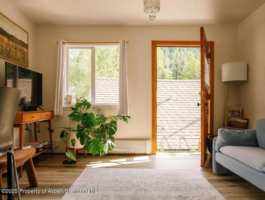 7 of 34 - 333 W Main Street B2, Aspen, CO