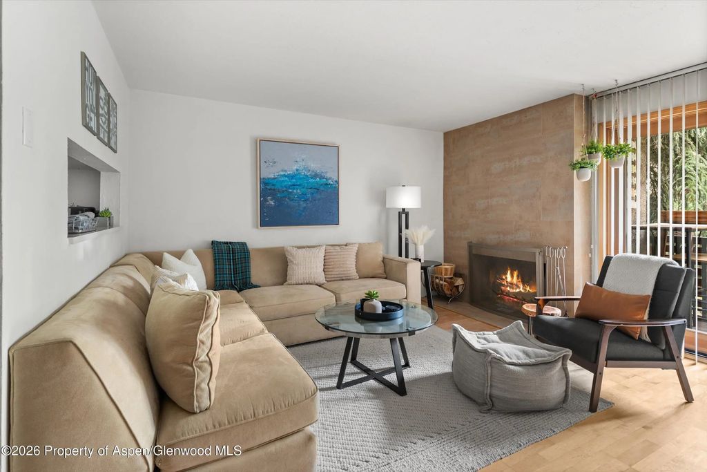 910 W Hallam Street #8, Aspen
