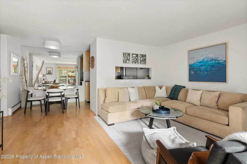 10 of 27 - 910 W Hallam Street #8, Aspen, CO