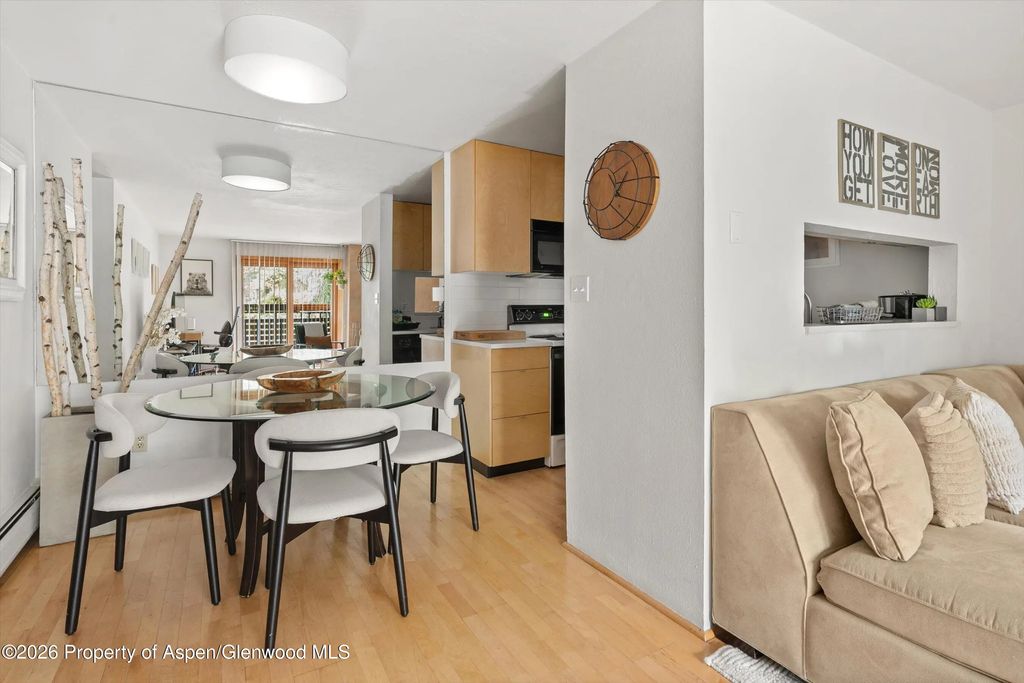 11 of 27 - 910 W Hallam Street #8, Aspen, CO