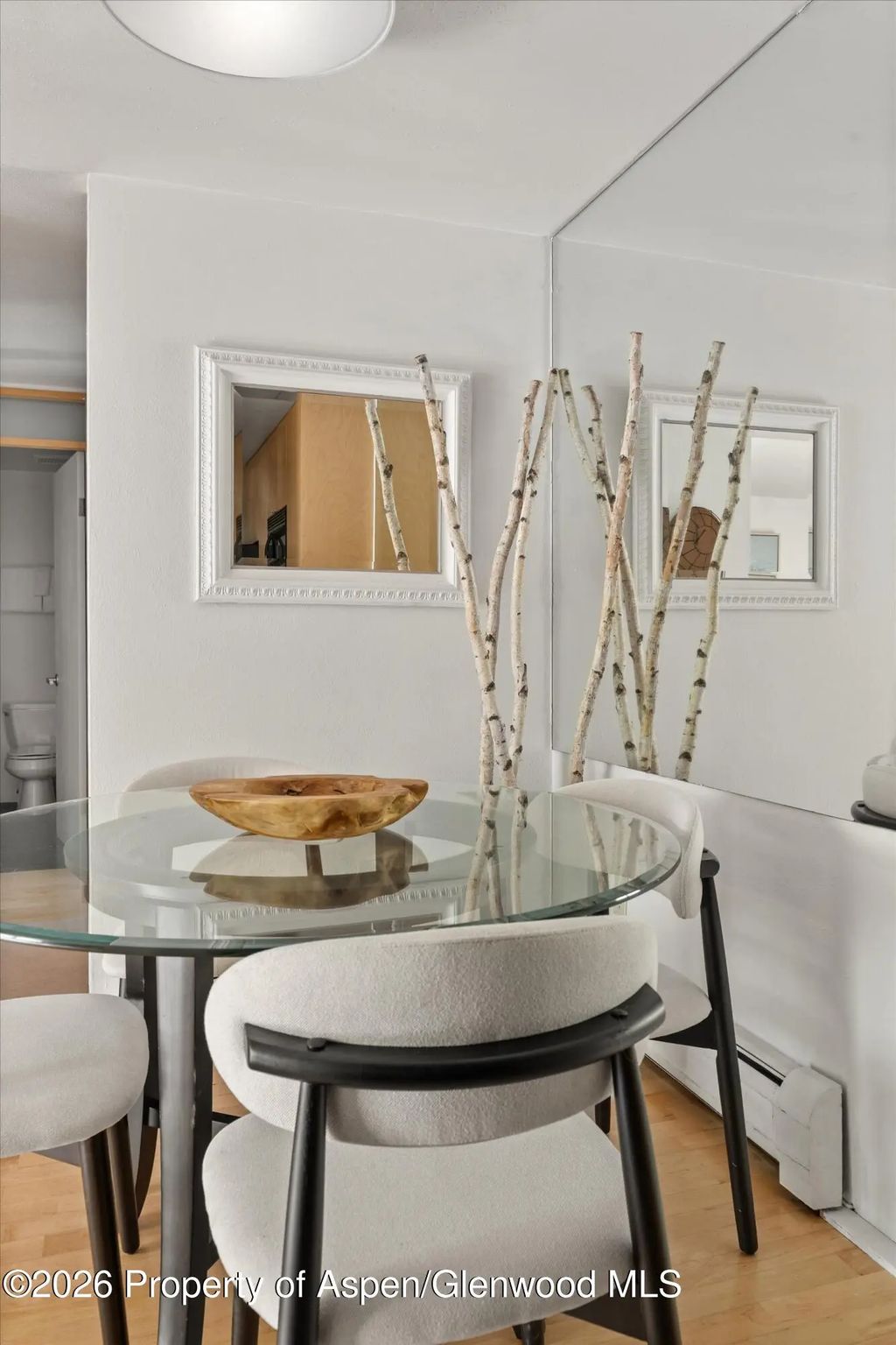 12 of 27 - 910 W Hallam Street #8, Aspen, CO