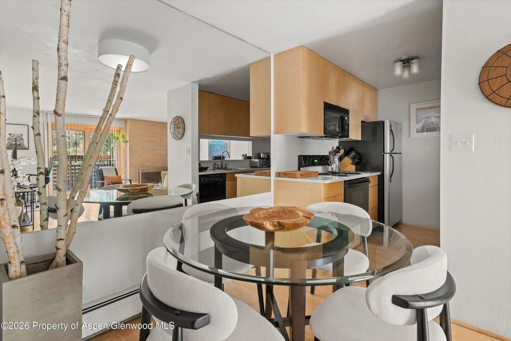 13 of 27 - 910 W Hallam Street #8, Aspen, CO