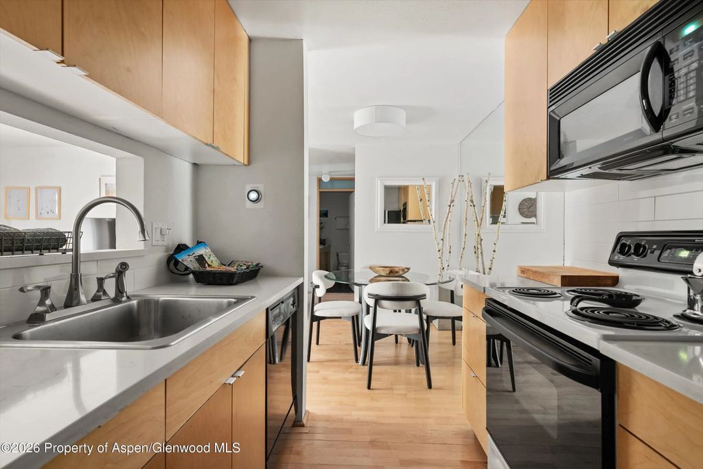 14 of 27 - 910 W Hallam Street #8, Aspen, CO