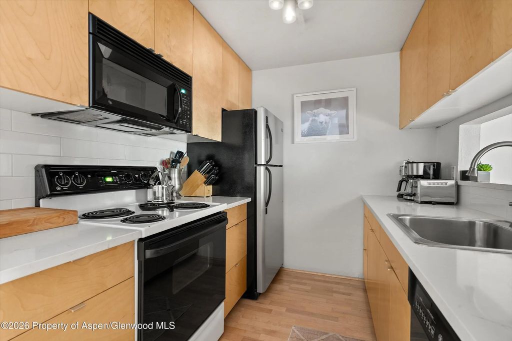 15 of 27 - 910 W Hallam Street #8, Aspen, CO